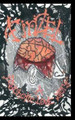 Finzel; a Psychotic Love Story by Jonathan M Smith