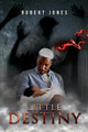 Little Destiny Robert Jones 9781952874444