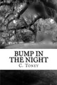 Bump in the Night by C R Toney