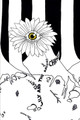 Lily and the Daisies by Sophie Lee