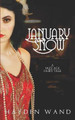 January Snow by Hayden Wand
