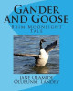 Gander and Goose: Brim Moonlight Tale Jane Olamide Olubunm Landey 9781451591880