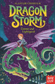 Dragon Storm: Connor and Lightspirit by Alastair Chisholm