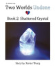 Two Worlds Undone, Book 2 by Xavier Therg