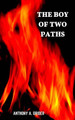 The Boy of Two Paths by A a Grider
