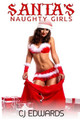 Santa's Naughty Girls by C J Edwards