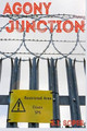 Agony Junction by Nathan Bronson