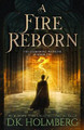 A Fire Reborn by D K Holmberg