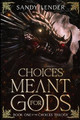 Choices Meant for Gods by Sandy Lender