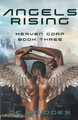 Angels Rising by CC Bridges