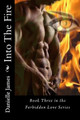 Into The Fire by Danielle James