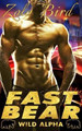 Fast Bear by Shifter Romance Designs