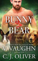 Bunny Hearts Bear by V Vaughn