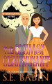 The Clumsy Clairvoyant by S E Babin