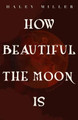 How Beautiful the Moon Is by Haley Miller
