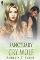 Sanctuary by Aurelia T Evans