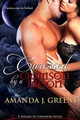 Caressed by a Crimson Moon Amanda J Greene 9780615803678