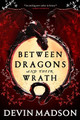 Between Dragons and Their Wrath Devin Madson 9780316417983