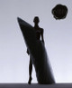 Viktor & Rolf: Fashion Statements (Bilingual edition) by Thierry-Maxime Loriot