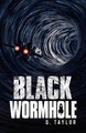The Black Wormhole by Q Taylor