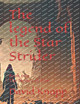 The legend of the Star Strider: Book two The flames of War David Knapp 9798397800099