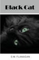 Black Cat by S M Flanagan