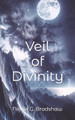 Veil of Divinity by Nicole G Bradshaw