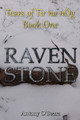 Raven Stone by Antony O'Beara