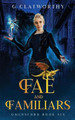 Fae and Familiars by G Clatworthy