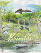Brimble Ann M Roberts 9781664118577