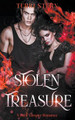 Stolen Treasure by Terri Stern