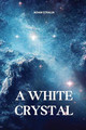 A White Crystal by Adam Stralia