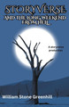 Storyverse and the Long Weekend From Hell William Stone Greenhill 9798223547013