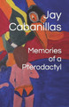 Memories of a Pterodactyl by Jay Cabanillas