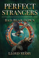 Perfect Strangers by Lloyd Stamy