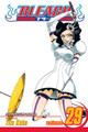 Bleach, Vol. 29 by Tite Kubo