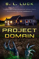 Project Domain by Luck