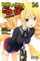 High School DxD, Vol. 14 (light novel) Ichiei Ishibumi 9781975350420