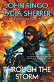 Through the Storm Diamond Comic Distributors, Inc. 9781982193843