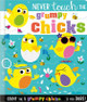 Never Touch the Grumpy Chicks by Rosie Greening