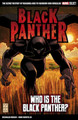 Marvel Select Black Panther: Who Is The Black Panther? by Reginald Hudlin