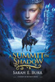 A Summit in Shadow Sarah E Burr 9798224716951