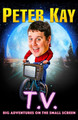 T.V.: Big Adventures on the Small Screen Peter Kay 9780008623319 [USED COPY]