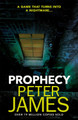 Prophecy Peter James 9781409181286 [USED COPY]
