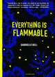 Everything is Flammable by Gabrielle Bell