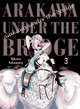 Arakawa Under The Bridge, 3 by Hikaru Nakamura
