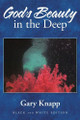 God's Beauty in the Deep Gary Knapp 9781664223080