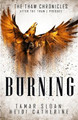 Burning by Heidi Catherine
