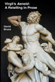 Virgil's Aeneid by David Bruce