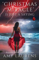 Christmas Miracle Is Just A Saying by Amy Laurens
